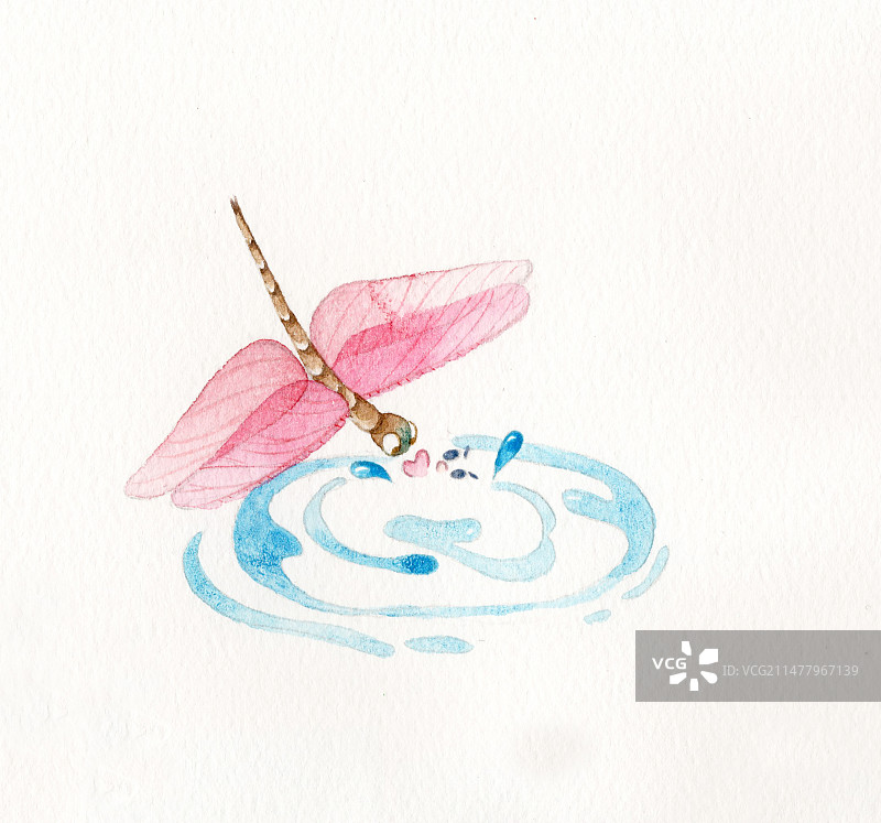 蜻蜓点水图片素材