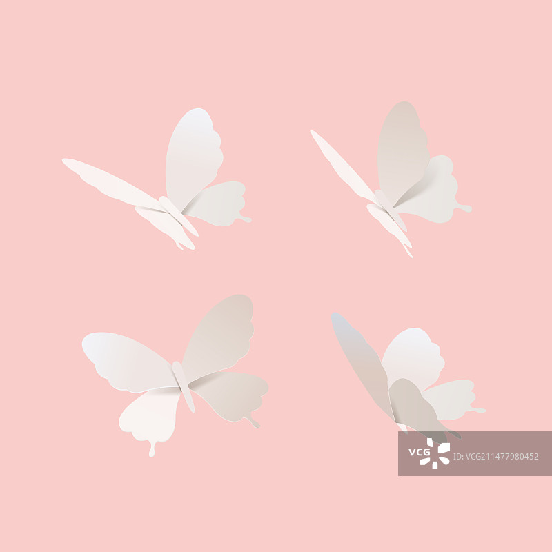 三维白色纸艺蝴蝶素材组合图片素材