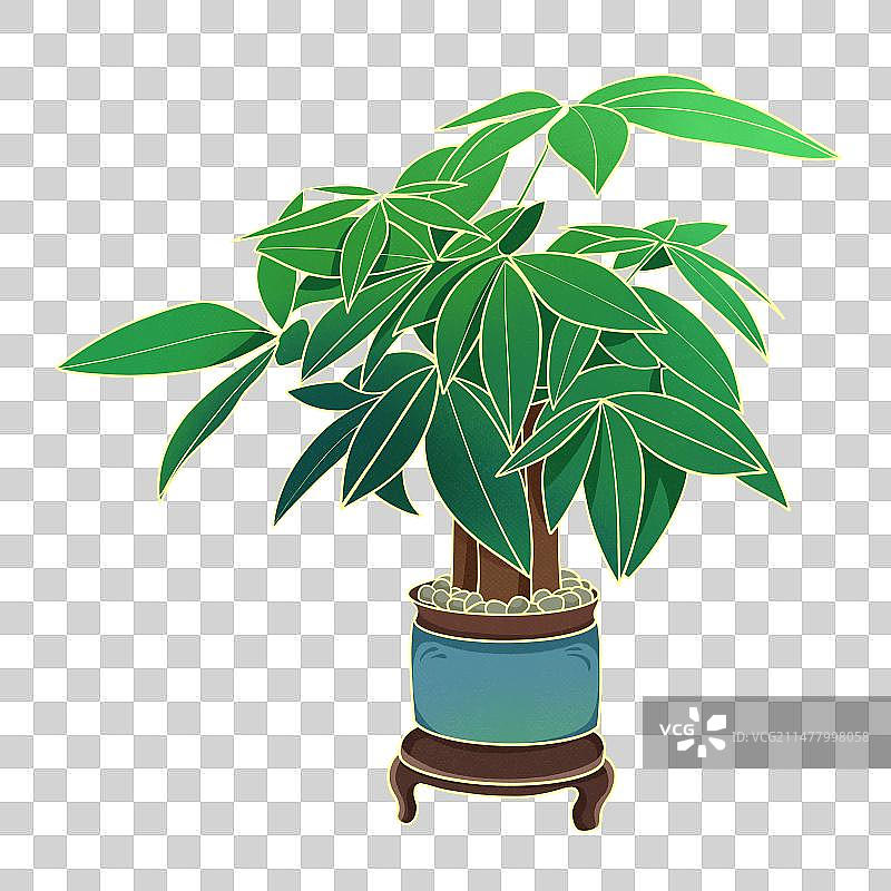 发财树盆栽花卉植物装饰插画元素图片素材