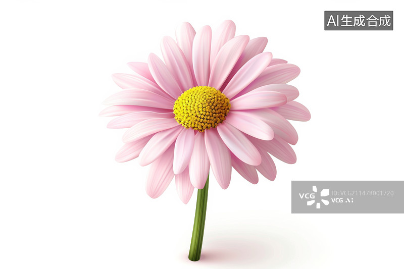【AI数字艺术】白色背景上的花图片素材