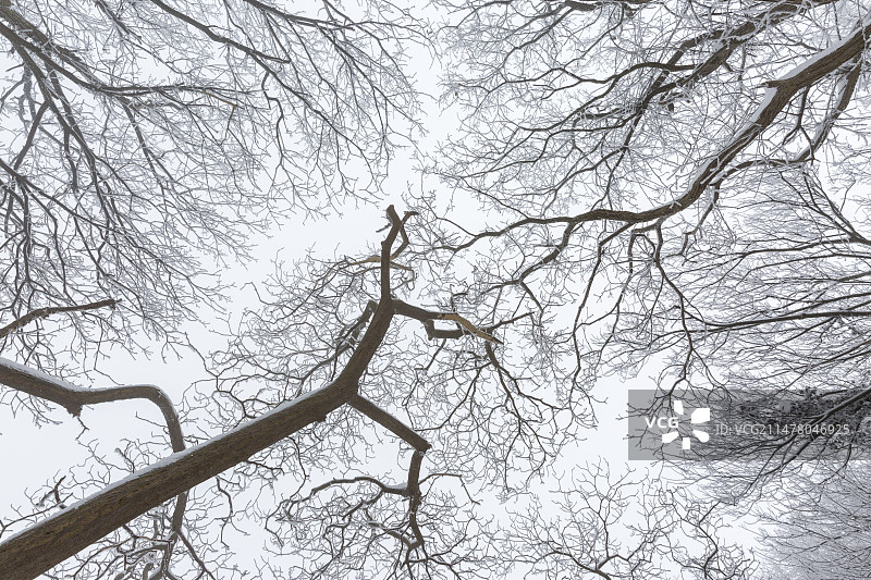 南京紫金山头陀岭雾凇图片素材