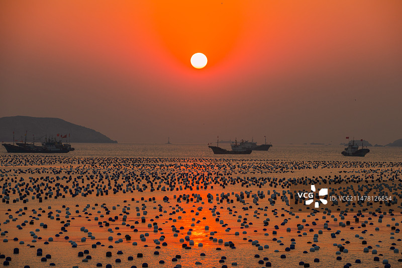嵊山岛日落，贻贝养殖图片素材
