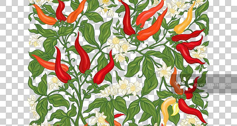 带果实和花朵的辣椒植物图片素材