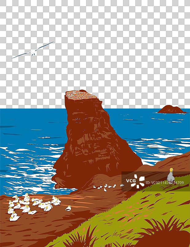 奥克兰穆里怀塘鹅栖息地图片素材