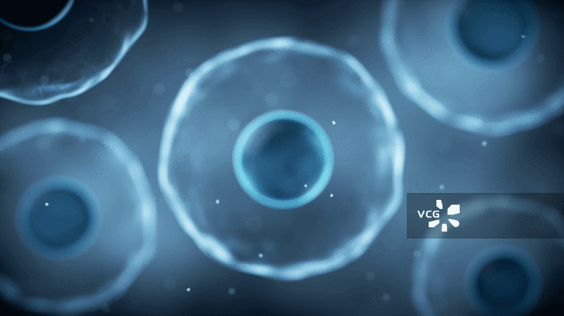 生物科技概念细胞结构3D渲染图片素材