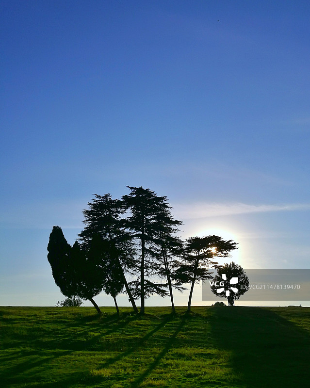 夕阳下图片素材