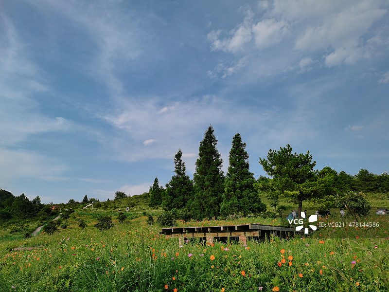 重庆市石柱县千野草场图片素材