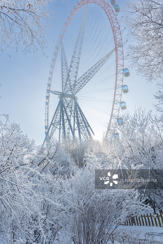 2024年1月3日 哈尔滨雾凇图片素材