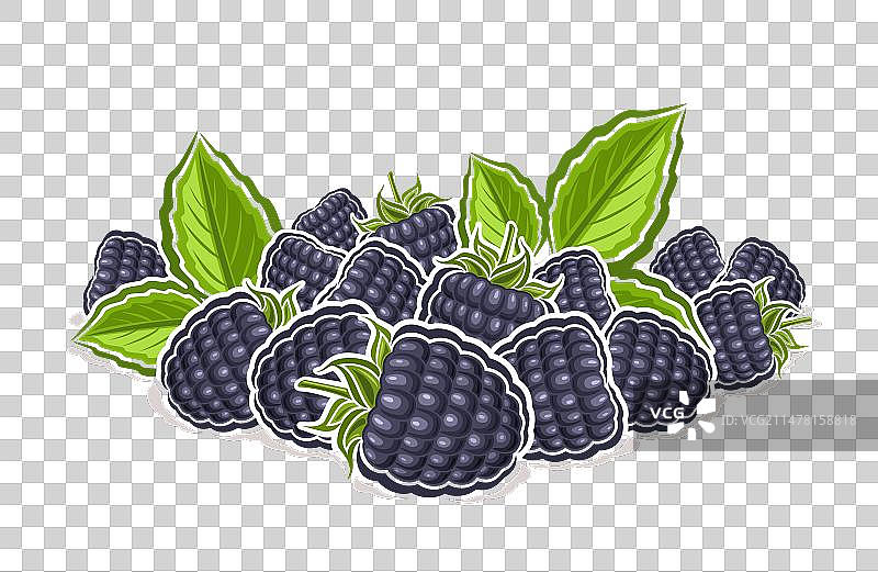 黑莓Logo图片素材