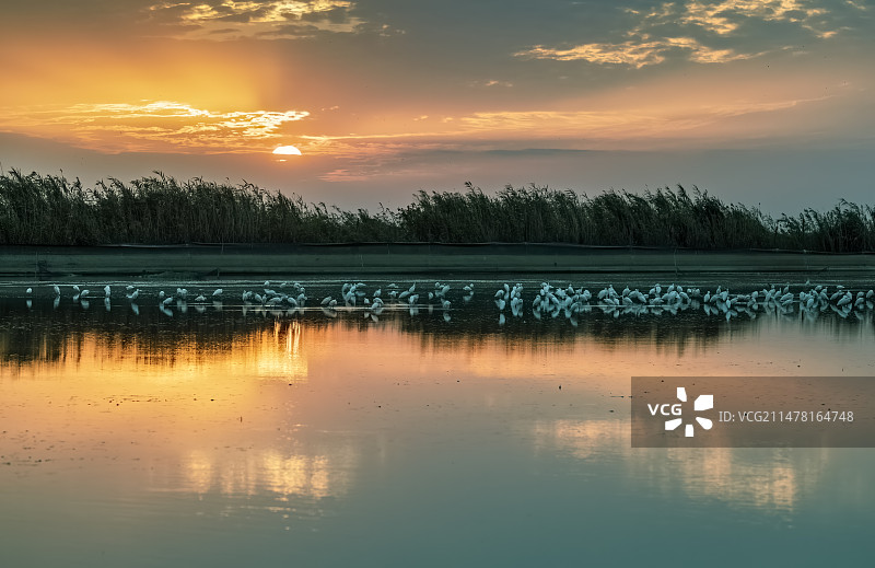 雁鸣湖风光图片素材