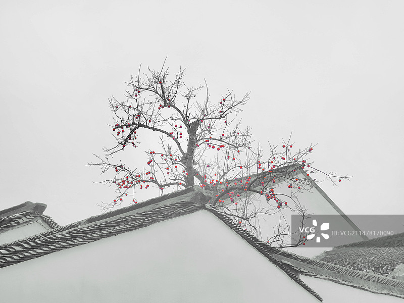 苏州报恩寺雪景美如画图片素材