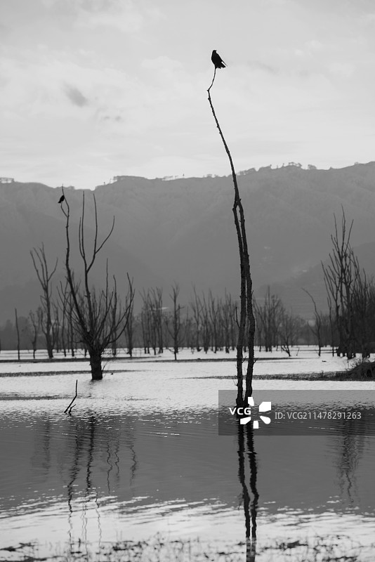 云南.念湖图片素材