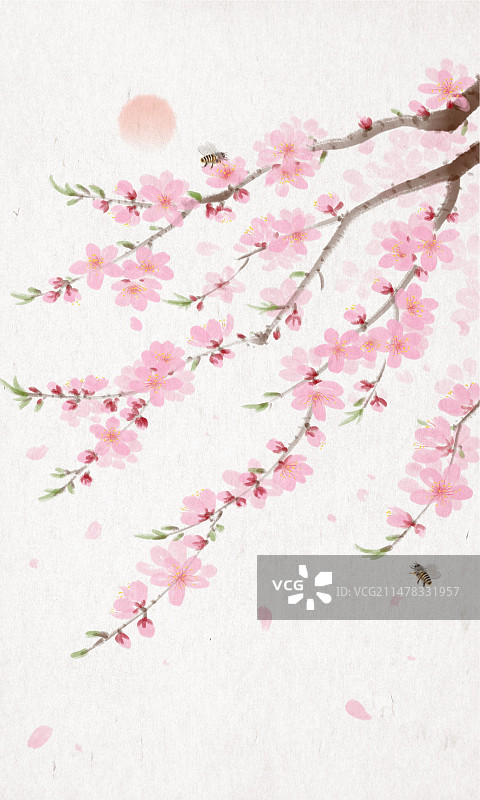 二十四节气-惊蛰-桃花图片素材