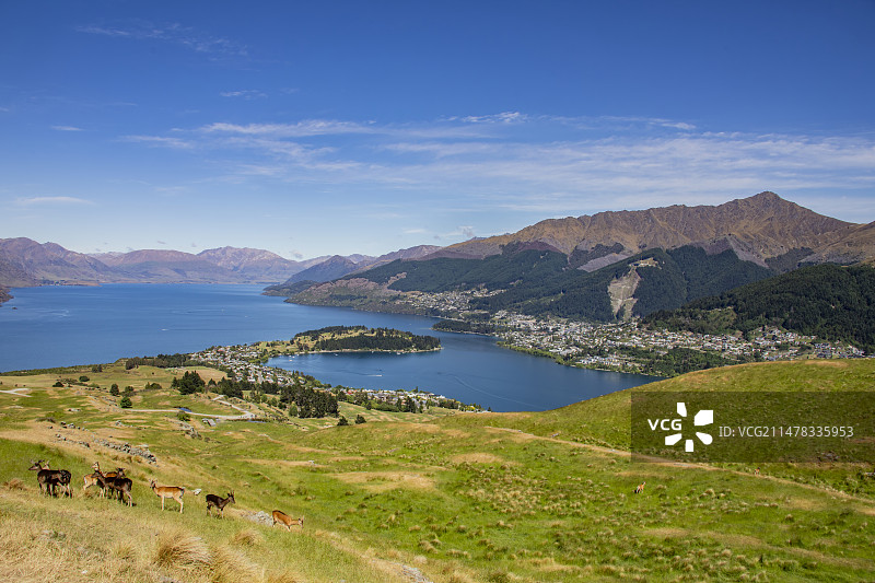 新西兰南北岛图片素材