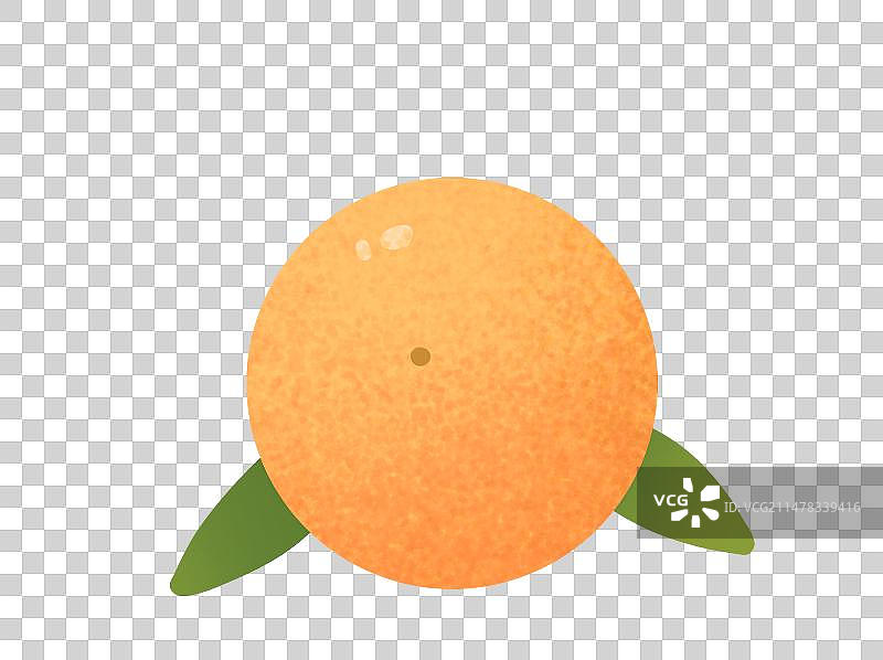 一个带叶橘子手绘插画元素图片素材