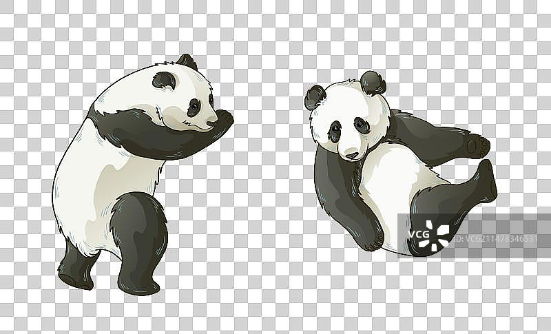 两只熊猫图片素材