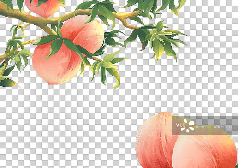 国潮风水果水蜜桃透明素材图片素材