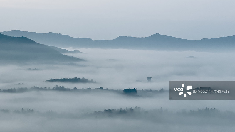 雾天顶天景观景观图片素材
