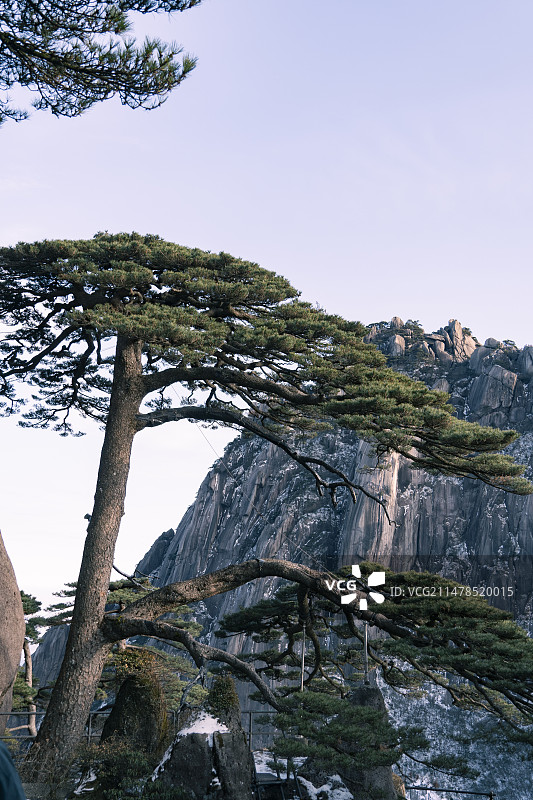 安徽黄山迎客松图片素材