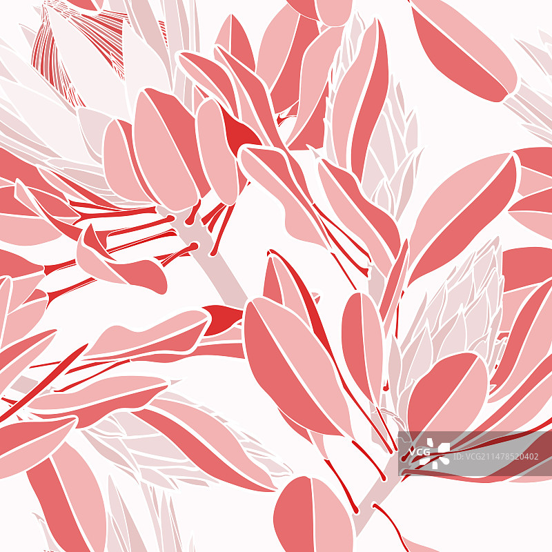 复古红色非洲帝王花无缝图案图片素材