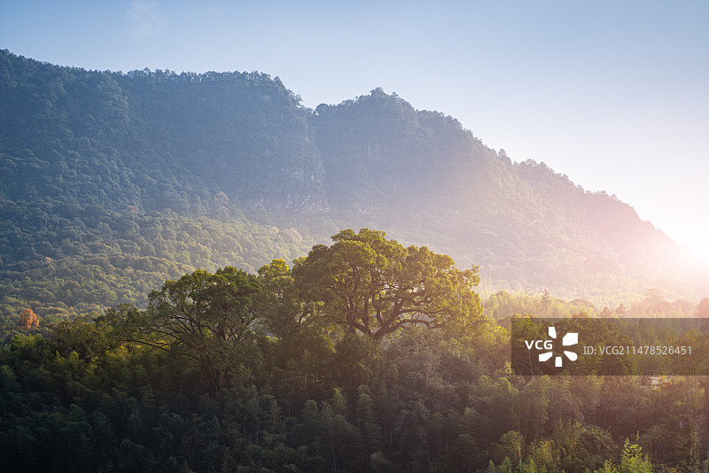 山区峡谷一抺阳光照射在植被丰富的森林上，福建龙岩图片素材