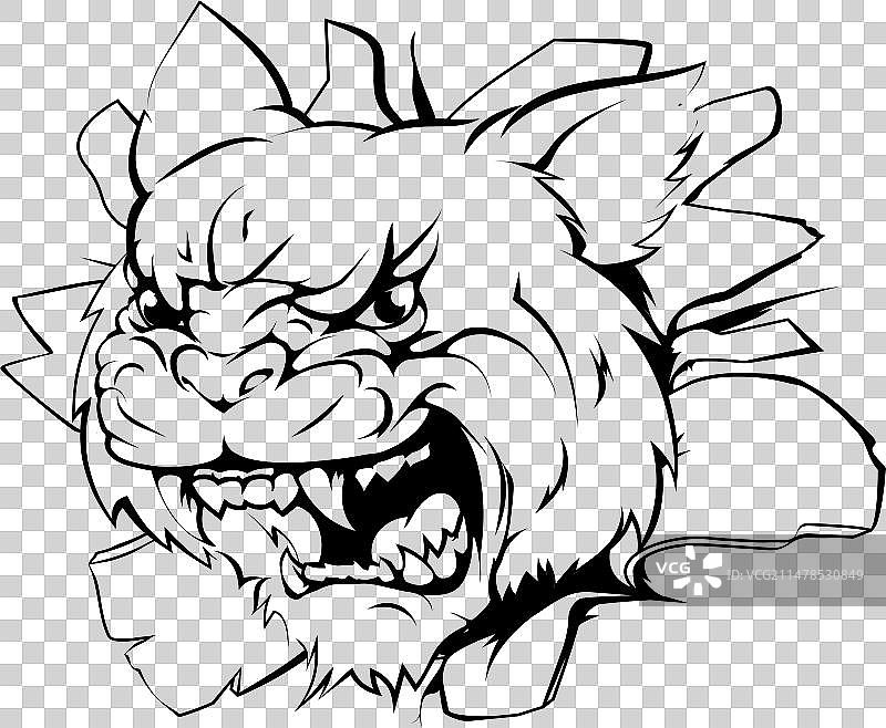 攻击中的野猫头部图片素材