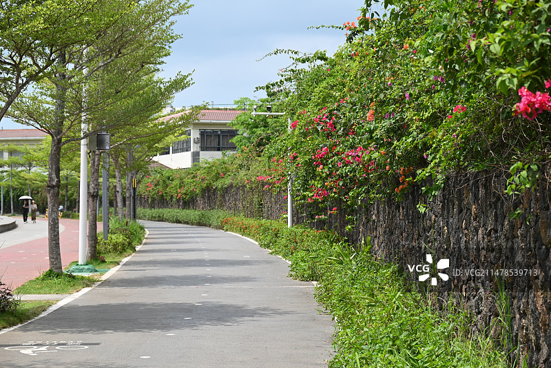 海口城市人行道景观图片素材