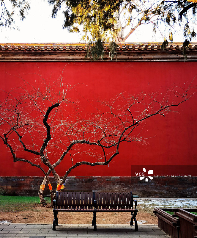 太庙冬日风光系列红墙古风（北京市劳动人民文化宫）图片素材