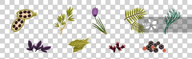 烹饪用芳香草药和调味品图片素材