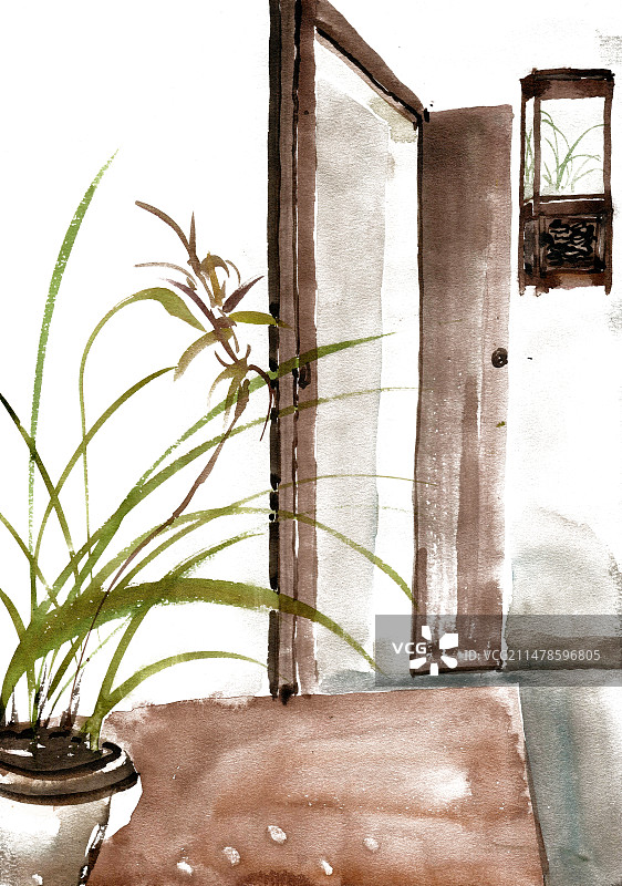 室内的兰花图片素材