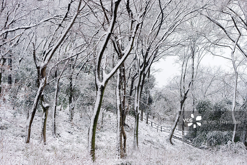 雪后老山图片素材