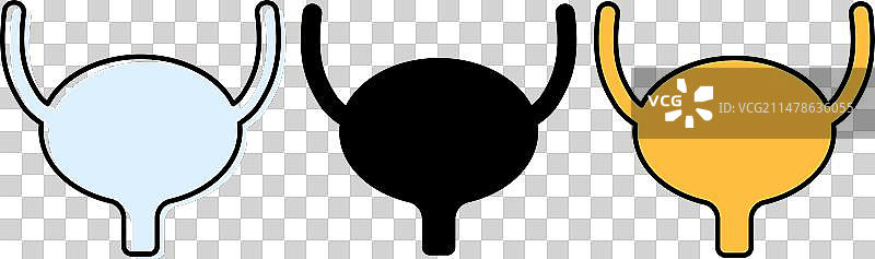 泌尿科健康人体解剖医学图标图片素材