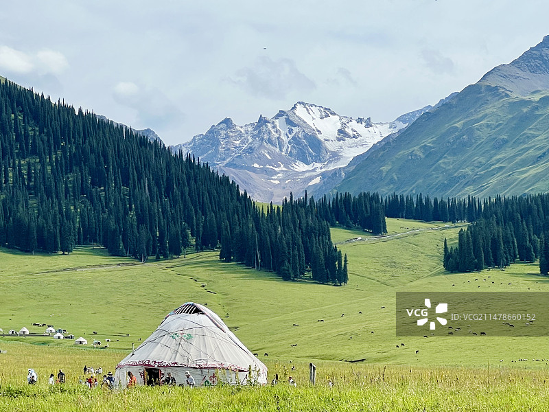 雪山下的牧场图片素材