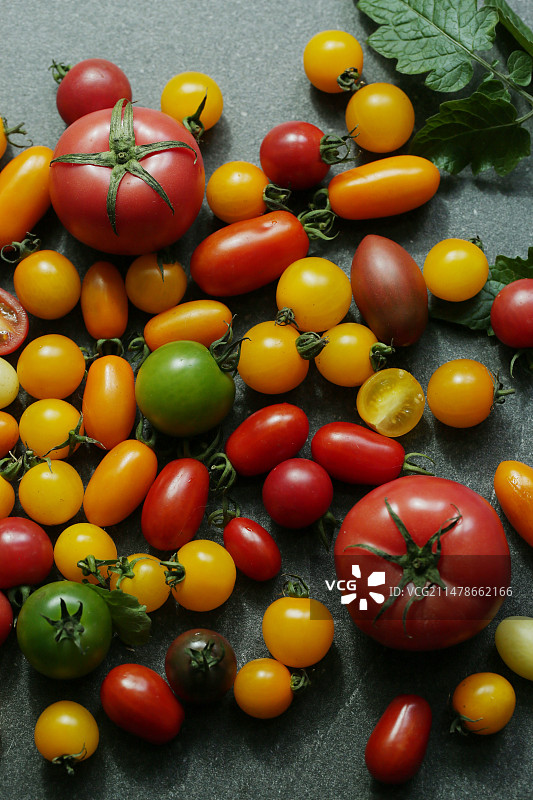 西红柿图片素材