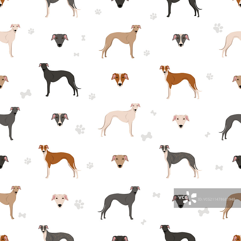 西班牙灵缇犬无缝花纹图片素材