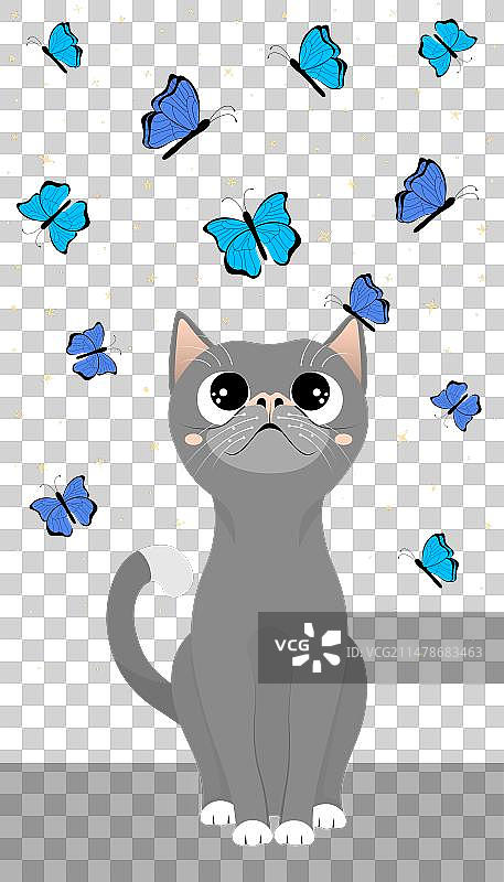 可爱猫咪观看彩色蝴蝶图片素材