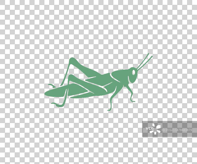 蚱蜢蝗虫图案设计图片素材