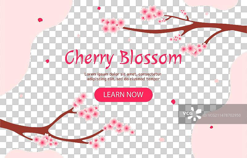 樱花banner图片素材