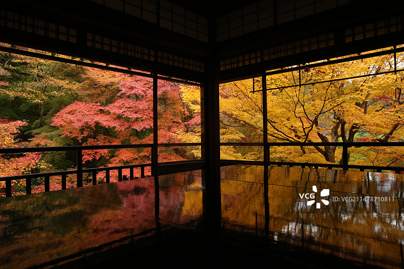 京都红叶琉璃光院庭院图片素材