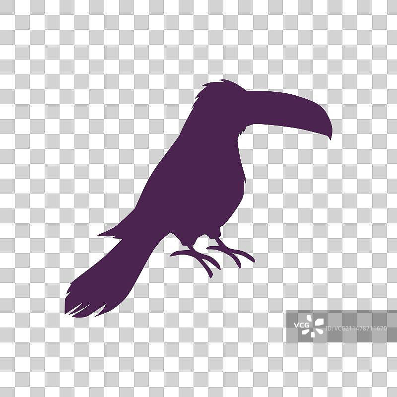 巨嘴鸟黑色剪影热带鸟类图片素材