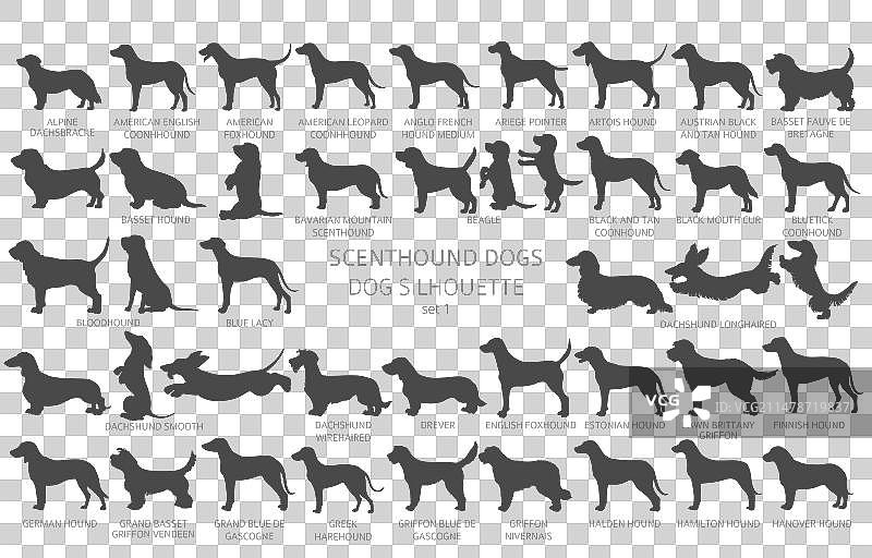 带字母的狗品种剪影图片素材