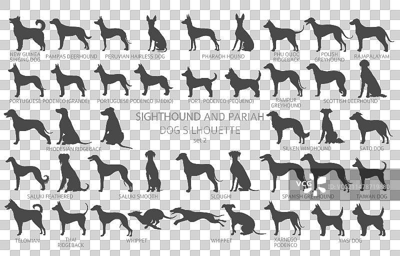 简约风格的狗品种剪影图案图片素材