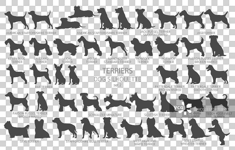 简约风格的狗品种剪影图案图片素材