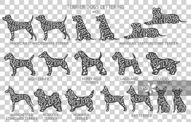 带字母的狗品种剪影图片素材