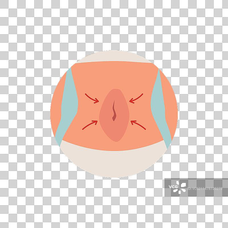 腹部除皱整形术信息图图片素材