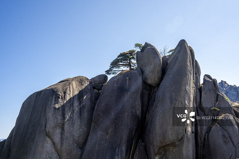 黄山奇石龟鱼对望图片素材