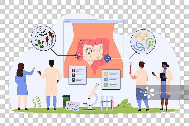 人体肠道中的有害和有益细菌图片素材