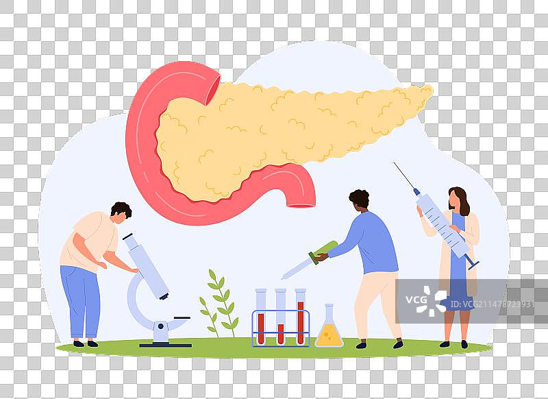 内分泌腺体检查图片素材