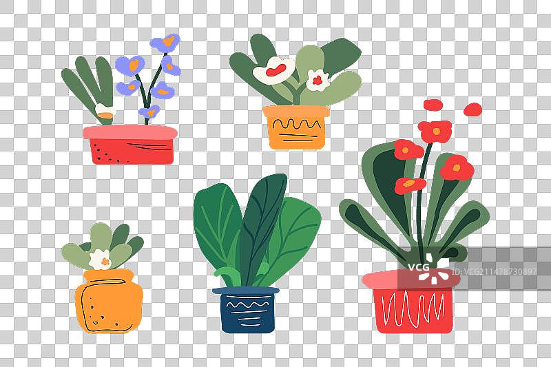 手绘室内花卉爱好图片素材