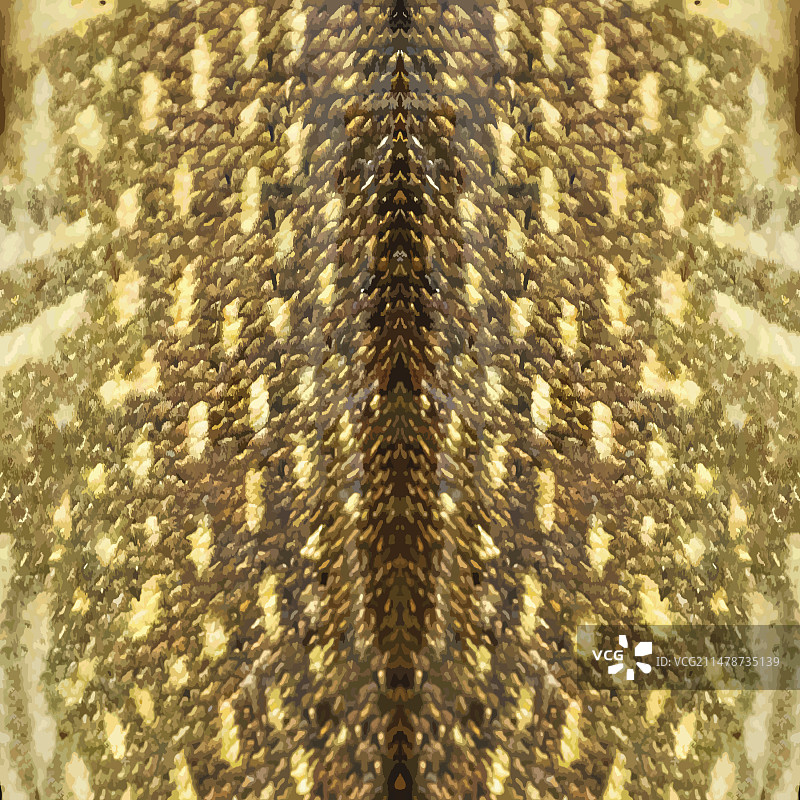 梭子鱼皮图案图片素材